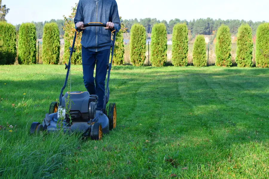 Benefits Of Hiring Professionals For Lawn Mowing Services Travelers Rest, SC