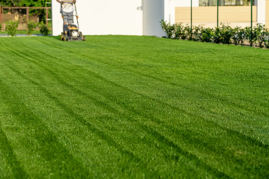 Benefits Of Hiring Professionals For Lawn Mowing Services in Travelers Rest, SC