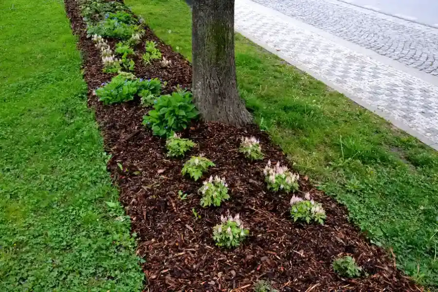 Expert Mulching Travelers Rest, SC