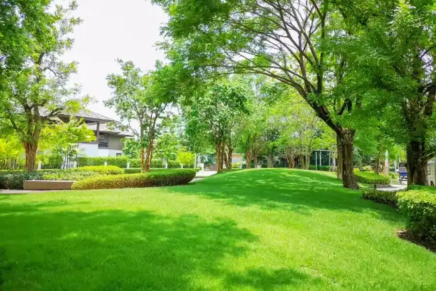 How Lawn Maintenance Enhances Curb Appeal And Value Travelers Rest, SC
