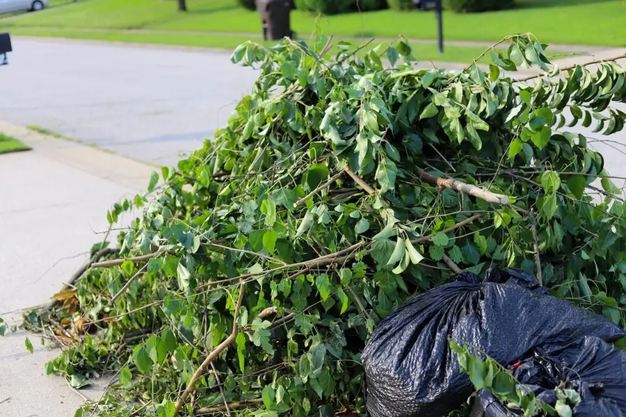How Shrub Removal Improves Yard Aesthetics And Growth in Travelers Rest, SC