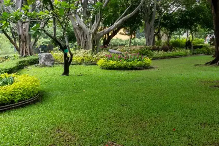 Key Lawn Maintenance Tasks You Shouldnt Overlook Travelers Rest, SC
