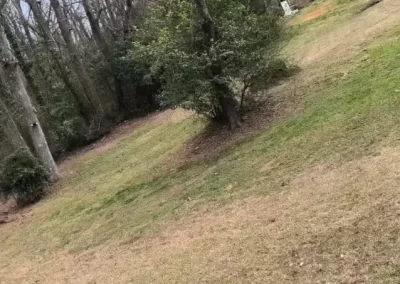 Landscape Company