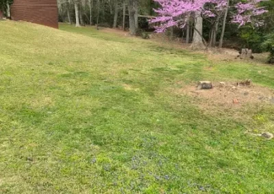 Landscape Service