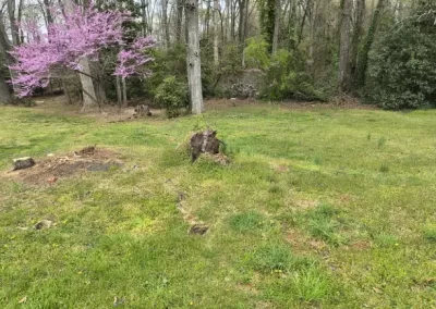 Landscape Services