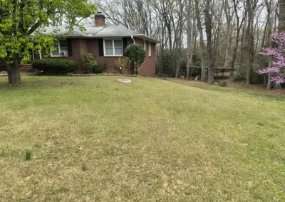 Landscaping Companies