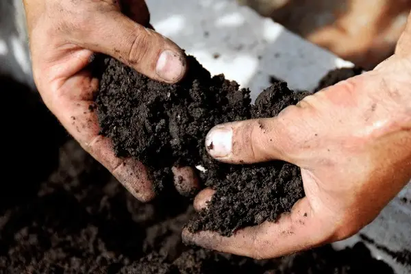 Mulching Mulching
