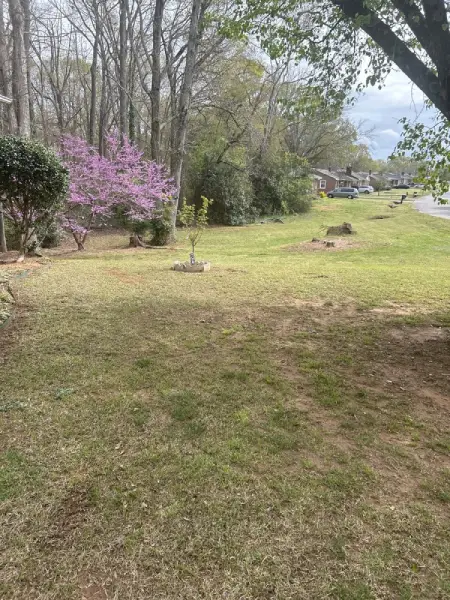 Professional Landscape Services Professional Landscape Services