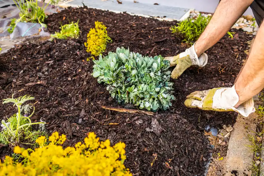 Professional Mulching Travelers Rest, SC