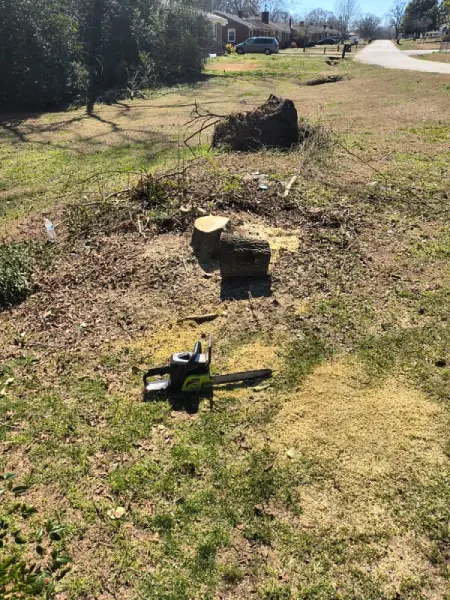 Reliable Landscape Services Reliable Landscape Services