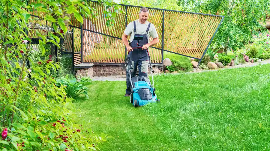 Reliable Lawn Mowing Travelers Rest, SC