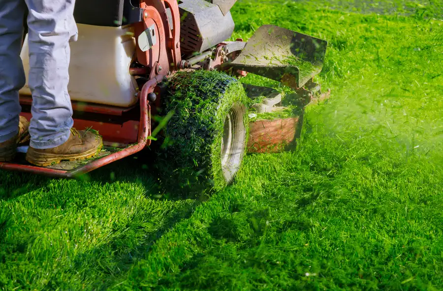 Reputable Lawn Mowing Travelers Rest, SC