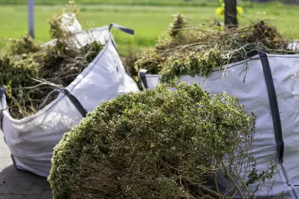 Shrub Removal Shrub Removal