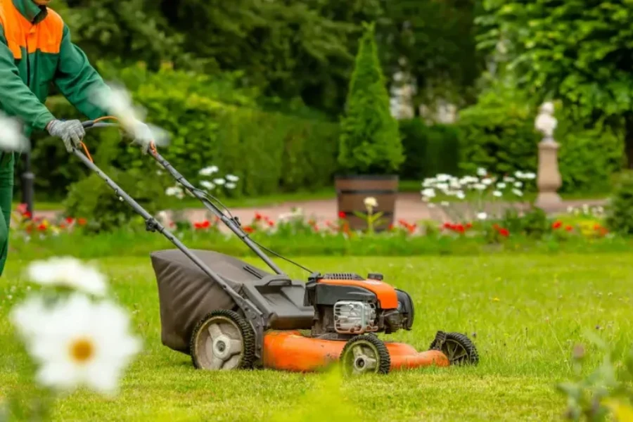 Top-rated Lawn Maintenance Travelers Rest, SC Top-rated Lawn Maintenance Travelers Rest, SC