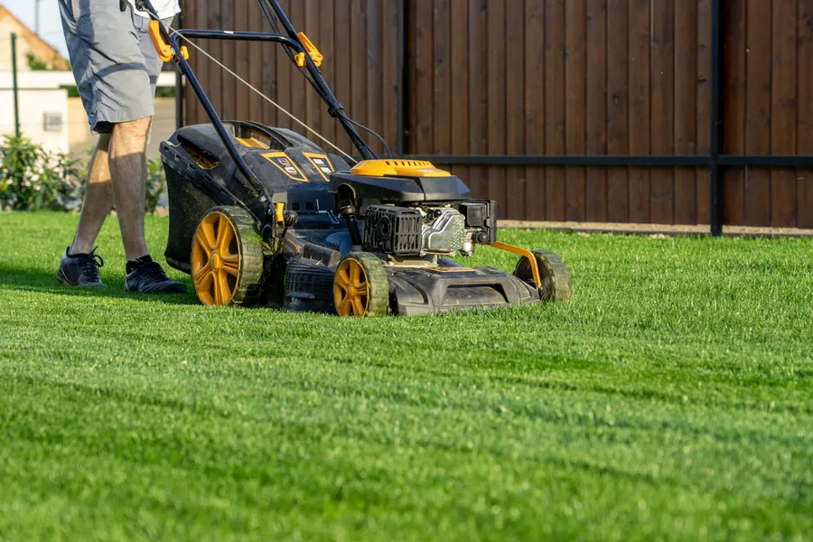Understanding The Ideal Frequency For Lawn Mowing Travelers Rest, SC