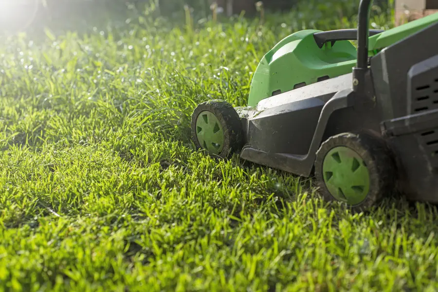 Understanding The Ideal Frequency For Lawn Mowing in Travelers Rest, SC