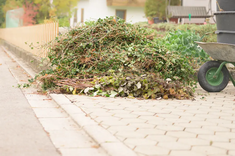 Excellent Shrub Removal Travelers Rest, SC