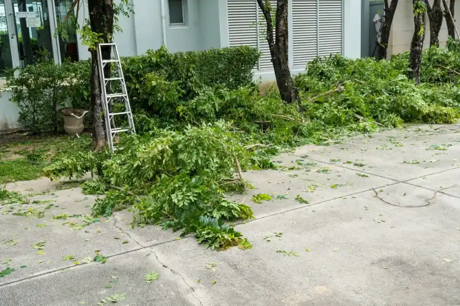 Preparing Your Yard For New Landscaping After Shrub Removal Travelers Rest, SC
