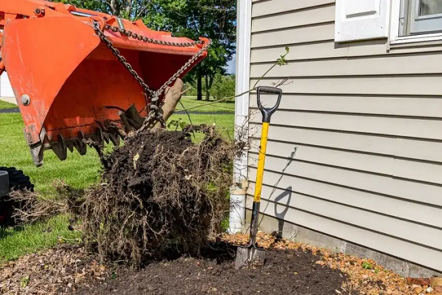 Preparing Your Yard For New Landscaping After Shrub Removal in Travelers Rest, SC