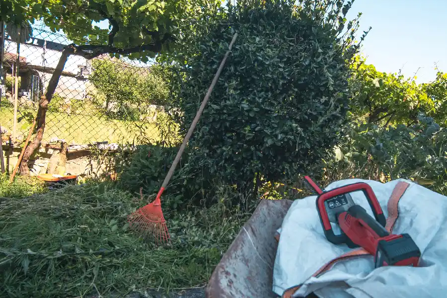 Superior Shrub Removal Travelers Rest, SC